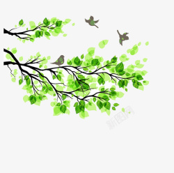 卡通茂密绿树绿叶树枝小鸟高清图片