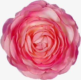 花束抽象鲜花png免抠素材_新图网 https://ixintu.com 唯美 唯美背景图片 背景元素 鲜花花卉 鲜花边框 鲜花边框素材
