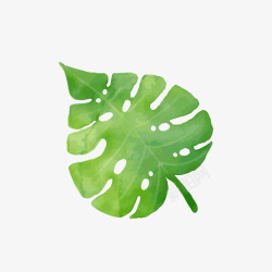 手绘绿色叶子植物素材