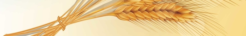 麦子背景装饰矢量图ai设计背景_新图网 https://ixintu.com 丰收 简约背景装饰 蓝色渐变 麦子 矢量图