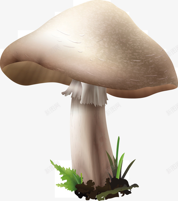 一朵白色蘑菇矢量图eps免抠素材_新图网 https://ixintu.com 一个蘑菇 白色 白色蘑菇 矢量蘑菇 蘑菇 蘑菇PNG 矢量图