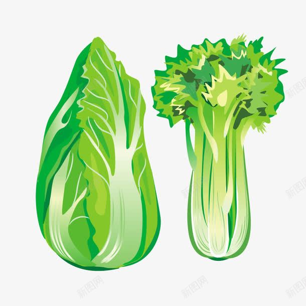 新鲜绿色蔬菜白菜png免抠素材_新图网 https://ixintu.com 新鲜 新鲜蔬菜 白菜 绿色 蔬菜