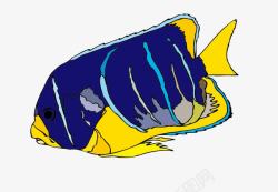 深蓝黄色观赏鱼素材