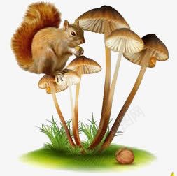 蘑菇松鼠核桃png免抠素材_新图网 https://ixintu.com 松鼠 核桃 蘑菇