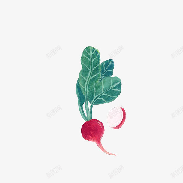 手绘的小萝卜png免抠素材_新图网 https://ixintu.com 手绘萝卜 植物 红色萝卜 绿叶 萝卜 蔬菜 食物