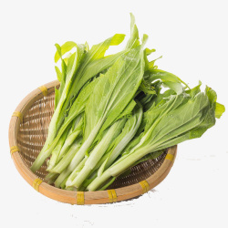 白菜苔新鲜的白菜苔高清图片