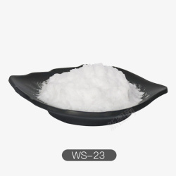 ws23ws23粉末精盐凉味剂高清图片