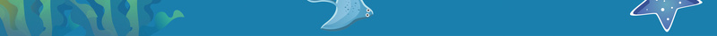 卡通人物海底世界旅游宣传海报psd设计背景_新图网 https://ixintu.com 儿童 卡通 可爱 小海豚 旅游宣传海报 海底世界 海洋 童趣 蓝色 鱼群