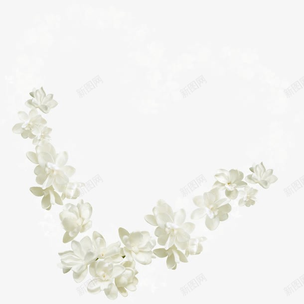 白色直角花朵png免抠素材_新图网 https://ixintu.com 漂亮花朵 白色花朵 直角花朵 花朵 花瓣