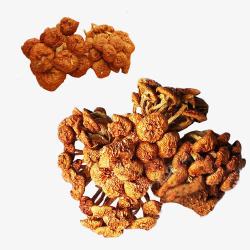 珍稀品种珍稀滑子菇品种高清图片