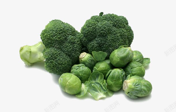 绿色蔬菜西兰花包菜png免抠素材_新图网 https://ixintu.com 包菜 绿色蔬菜 西兰花