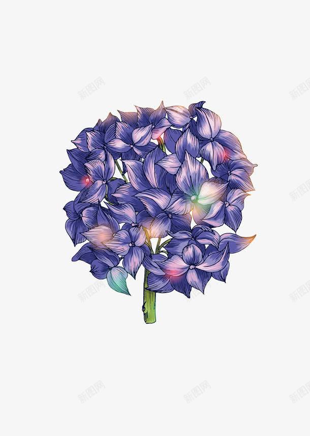手绘绣球花png免抠素材_新图网 https://ixintu.com 手绘 紫色 紫阳花 绣球花