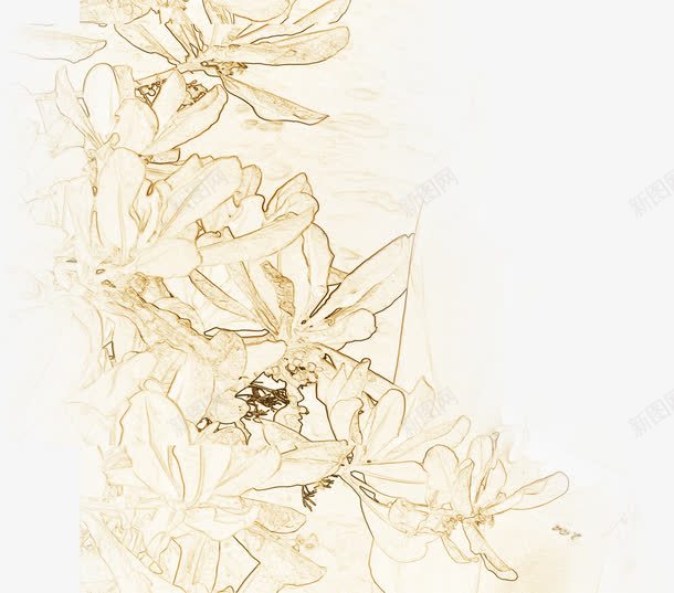 复古花朵手绘背景png免抠素材_新图网 https://ixintu.com 复古 背景 花朵 设计
