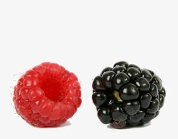 山莓黑莓果实素材