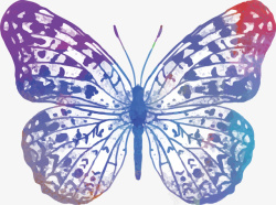 彩色小触角水彩彩色翅膀蝴蝶高清图片