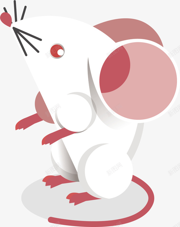可爱的小白鼠矢量图ai免抠素材_新图网 https://ixintu.com 仰望 可爱 小动物 小白鼠 白色 红眼睛 矢量图