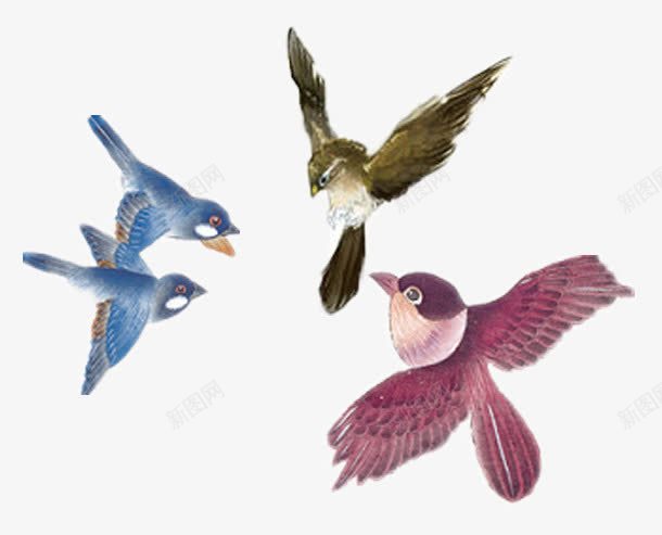 四只鸟儿手绘png免抠素材_新图网 https://ixintu.com 中国风 清明节 装饰图案 鸟儿手绘