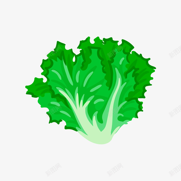 一颗绿色青菜矢量图ai免抠素材_新图网 https://ixintu.com 一颗 一颗青菜 绿色 绿色青菜 青菜 食物 矢量图