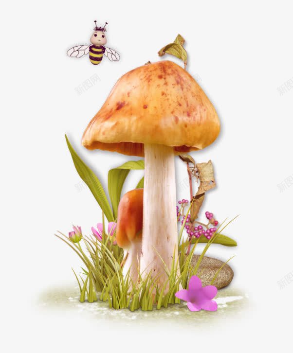 蘑菇png免抠素材_新图网 https://ixintu.com 田园 花卉 菌类 蘑菇 野生菌 野蘑菇