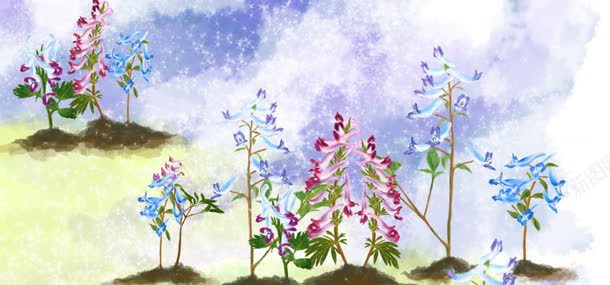 鲜花花朵植物背景背景