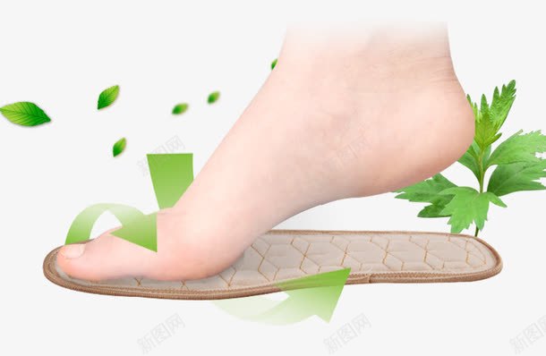 鞋垫绿色叶子png免抠素材_新图网 https://ixintu.com 叶子 绿色 鞋垫