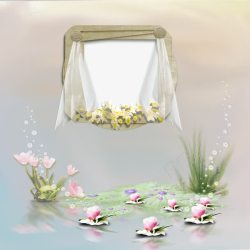 白纱花朵窗帘唯美相框高清图片