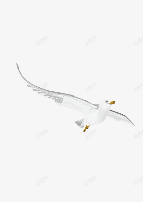 白鸽png免抠素材_新图网 https://ixintu.com 动物 卡通 和平 手绘 白鸽 自由