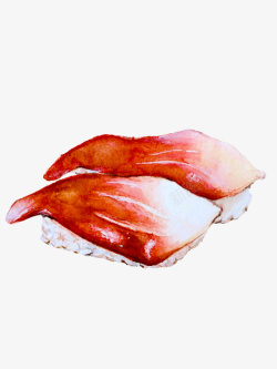 大米插图生鱼片寿司高清图片
