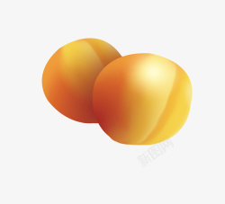 成熟的黄杏金黄色的甜杏矢量图高清图片