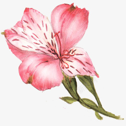 水彩浪漫超唯美手绘粉色花朵素材