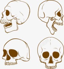 骷髅不同角度素材