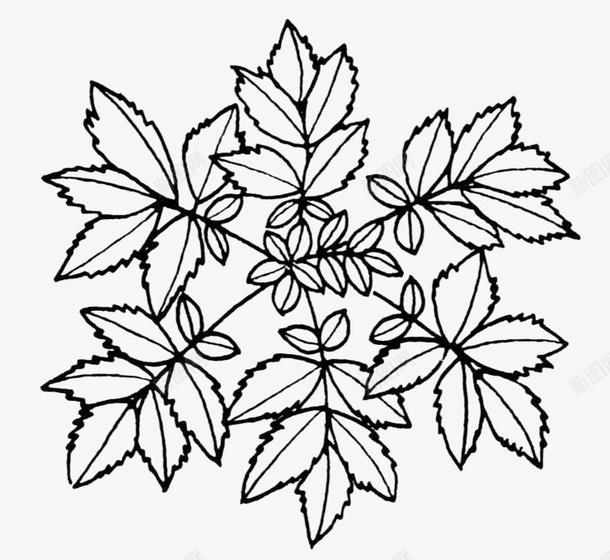 树叶图标png_新图网 https://ixintu.com 叶子 手绘 树叶 线条 黑色