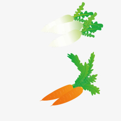 胡萝卜白萝卜蔬菜矢量图素材