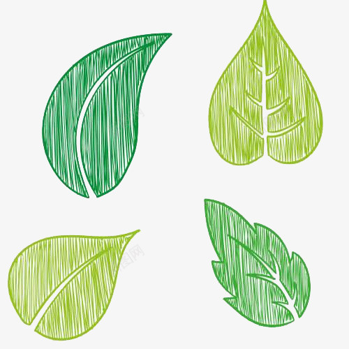各式叶子绘画图案png免抠素材_新图网 https://ixintu.com 叶子 手绘图 树叶 植物 水彩 线条 绿叶 绿植