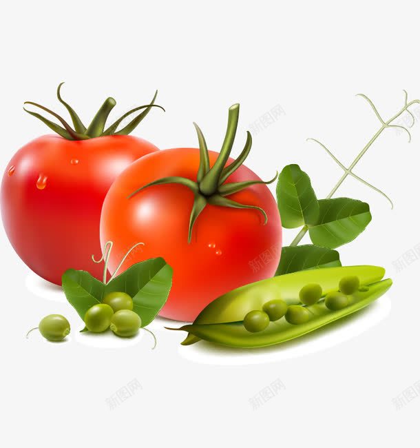 番茄豆角png免抠素材_新图网 https://ixintu.com 卡通 蔬菜水果