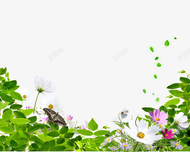 植物背景psd免抠素材_新图网 https://ixintu.com 植物背景 绿色植物 花朵 蝴蝶