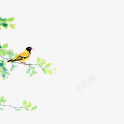 小黄鸟绿色树枝素材