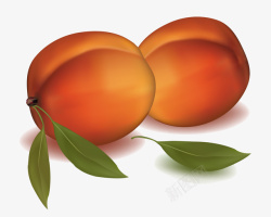红油桃手绘油桃高清图片