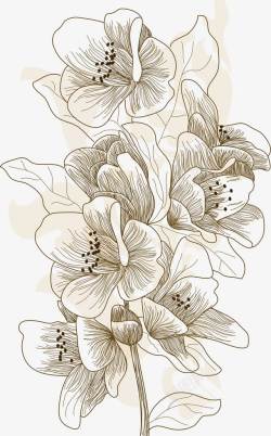 手绘线条创意花朵素材