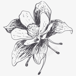 黑色的花卡通手绘黑色的花朵图标高清图片