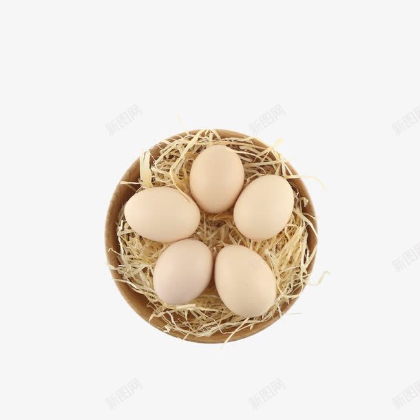 枯草中的鸡蛋png免抠素材_新图网 https://ixintu.com 枯草 食材 食物元素 鸡蛋