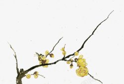 卡通手绘黄色梨花素材