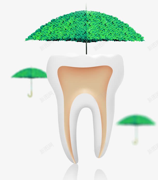 绿色护牙png免抠素材_新图网 https://ixintu.com 保护牙龈 牙龈健康刷牙防蛀牙 绿植 绿色护牙