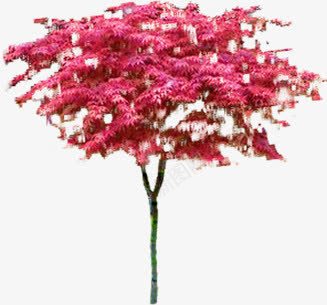 粉色花朵植物景观png免抠素材_新图网 https://ixintu.com 景观 植物 粉色 花朵