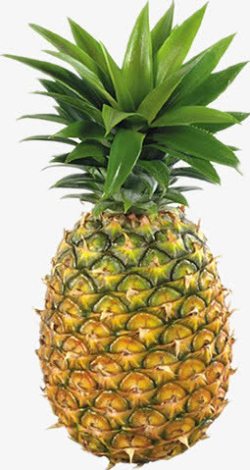 鏋滆倝澶新鲜进口菠萝高清图片