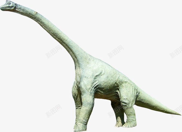 侏罗纪恐龙png免抠素材_新图网 https://ixintu.com 侏罗纪 动物 恐龙 恐龙石像