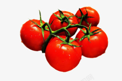 圣女果西红柿番茄红色素材