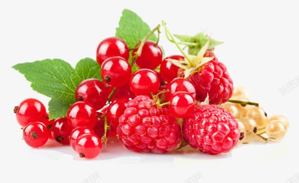 新鲜树莓水果png免抠素材_新图网 https://ixintu.com 新鲜 树莓 水果 红色