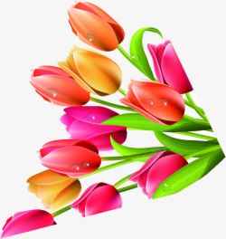 郁金香花朵花瓣植物素材
