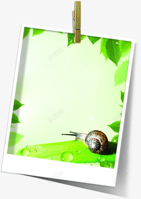 绿色清新树叶装饰创意png免抠素材_新图网 https://ixintu.com 创意 树叶 清新 绿色 装饰
